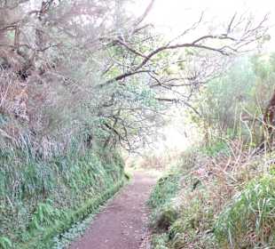 Levada-Weg