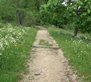 Kreuzweg St. Anna Salmendingen