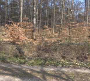 Geologischer Lehrpfad Kirnbachtal