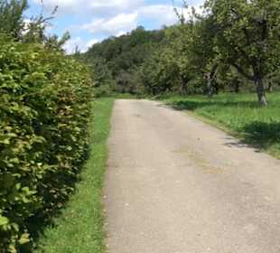 Hochgehnießen - Premiumspazierwanderweg