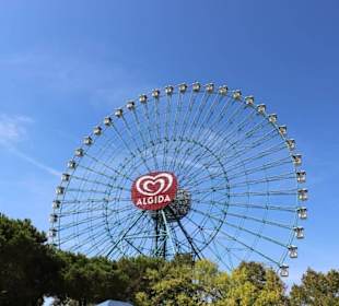 Mirabilandia