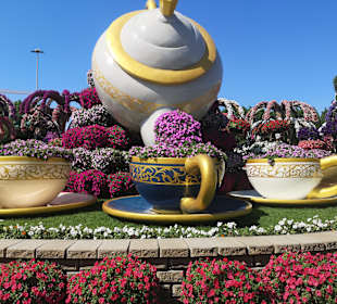 Dubai Miracle Garden