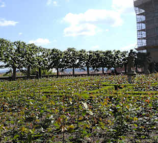 Rosengarten In der Neuen Residenz