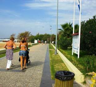 Inspirationen an d.Strandprom.entlang Nov.2010