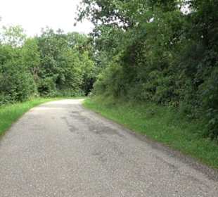 Themenweg Kaiserweg Zimmern