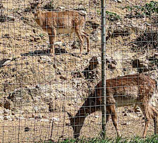 Wandern Limenas Thasou