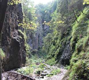 Janošikove diery