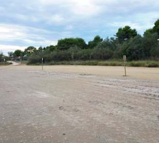 Hinterer Strandbereich