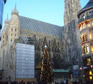 Ansicht vom Graben