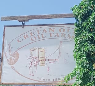Cretan Olive Oil Farm