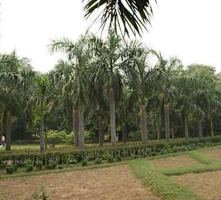 Schön angelegter Garten