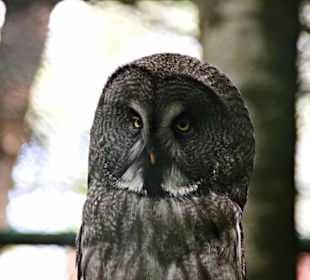 Zoo Eberswalde