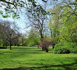 Spaziergang durch den Maschpark