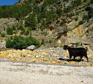 Abfahrt vom Staudamm