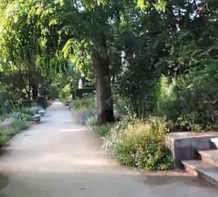 Real Jardín Botánico de Madrid