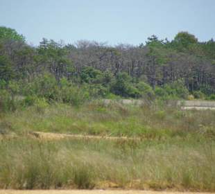 Strand von Bibione 06-2010