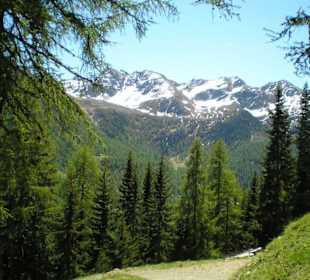 Aufstieg durchs Klapfbergtal