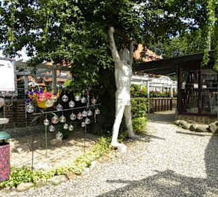 Iserhatsche Bispingen