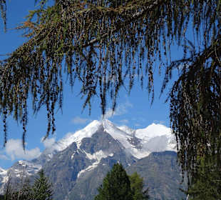 Das berühmte Weisshorn