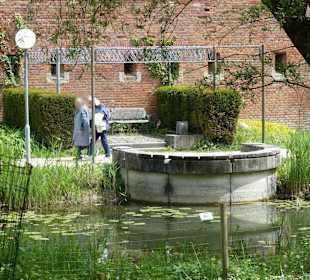 Stadtpark Glacis West