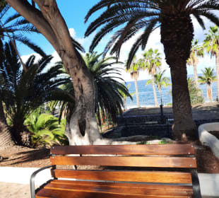 Playa Jardín