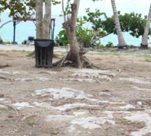 Ich habe noch nie einen so dreckigen Strand gesehe