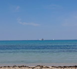 Strand Playa/Platja de Palma