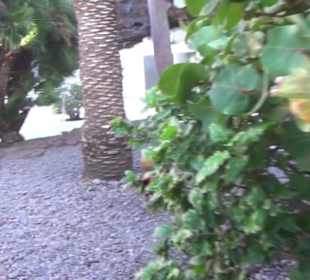 Fundacion Cesar Manrique