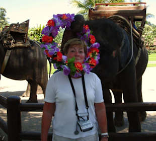 Sehen wir nicht gut aus?