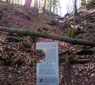 Naturdenkmal Elendsklamm in Landstuhl