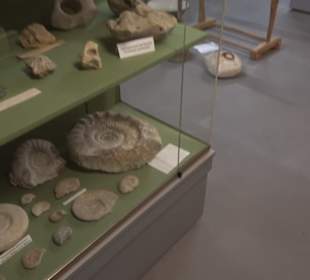 Museum Römer und Bajuwaren