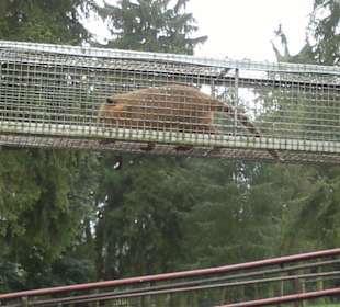 Zoo Olomouc
