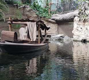 Kölner Zoo 