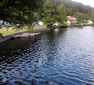 Sägmühlweiher bei Trippstadt, KL, im Pfälzer Wald 