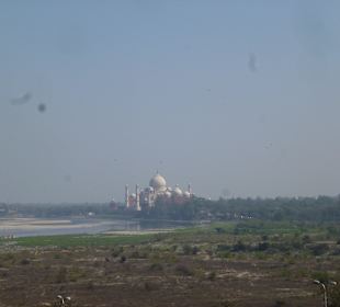 W oddali Taj Mahal