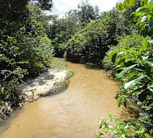 Wanderung durch den Busch zum Wasserfall