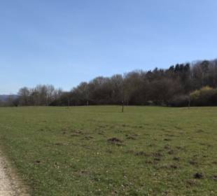 Premiumwanderweg "hochgeblickt"