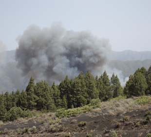 Waldbrand am Montana Enrique