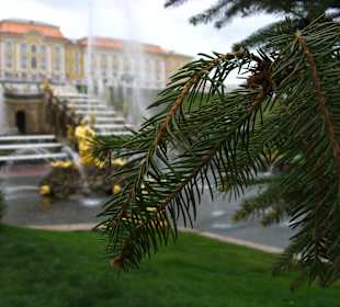 Peterhof