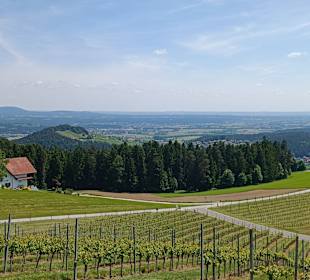 Blick hiunter ins Tal