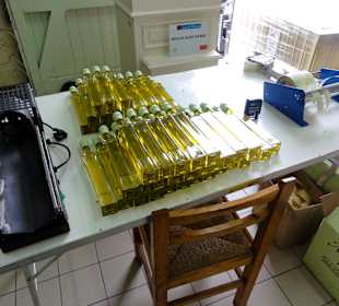 Ölmühle Moulin Saint Pierre