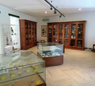 Das kleine Museum des Botanischen Gartens