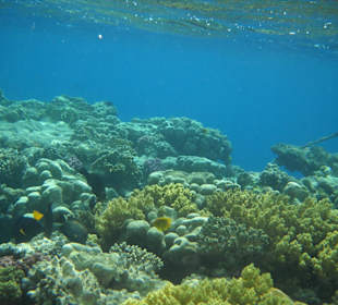 Einstieg zum Außenriff