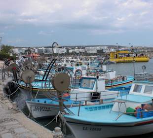 Fischerboote am Hafen