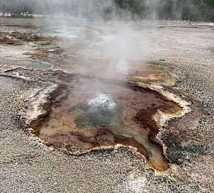 Yellowstone Nationalpark