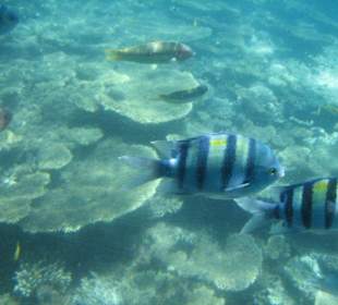 Blick aus dem Glasboden