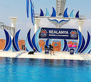 Sealanya Delfinpark