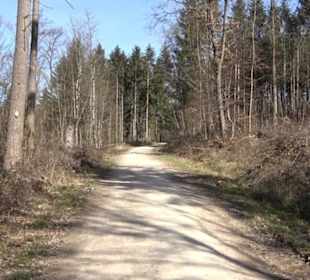Premiumwanderweg "hochgeblickt"