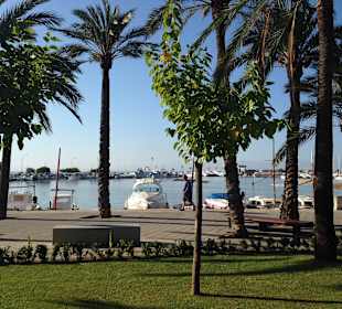 Hafen Alcudia