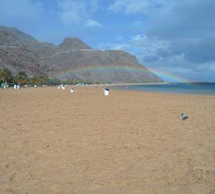 Playa de las Teresitas